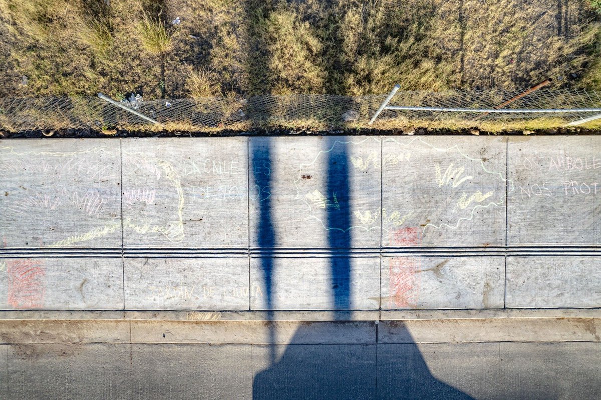 Sociedad Ambientalista de Sonora tweet media