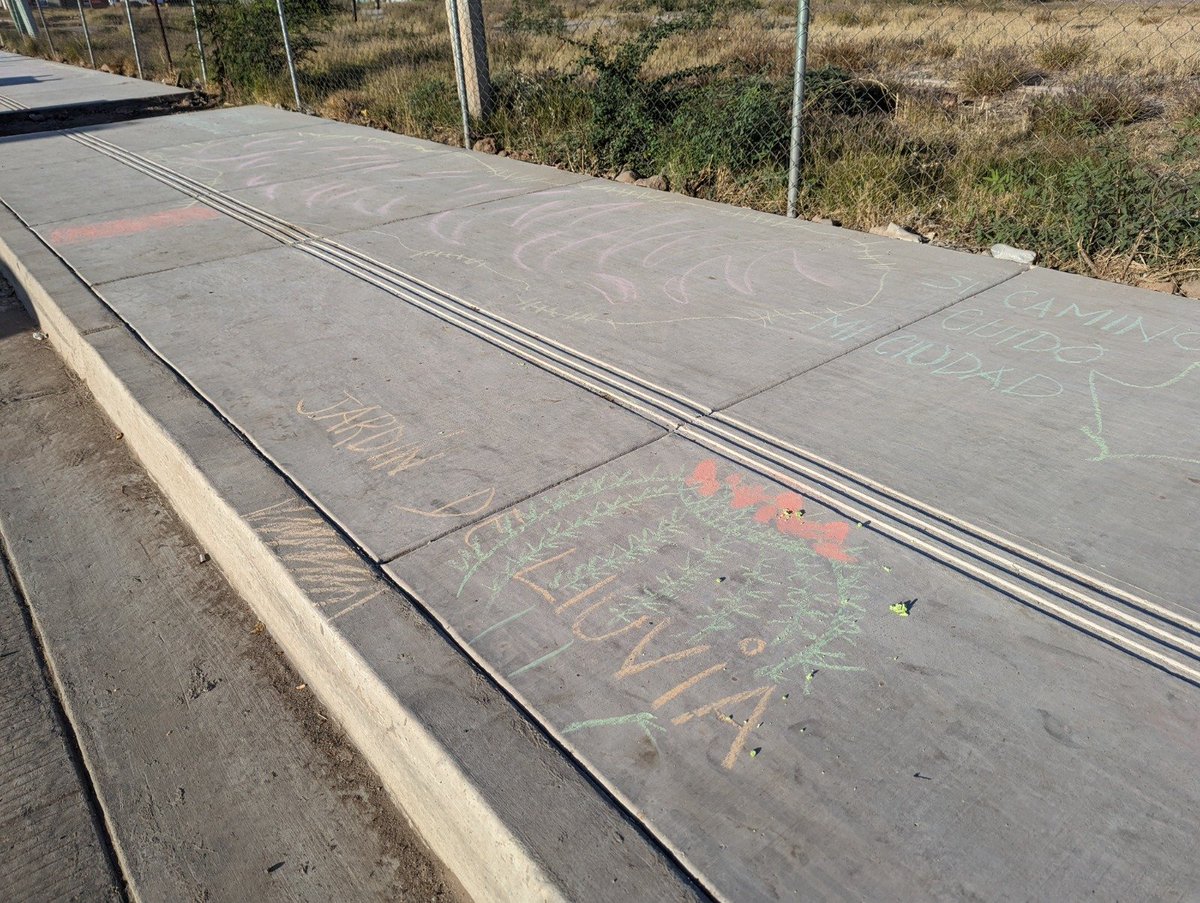 Sociedad Ambientalista de Sonora tweet media