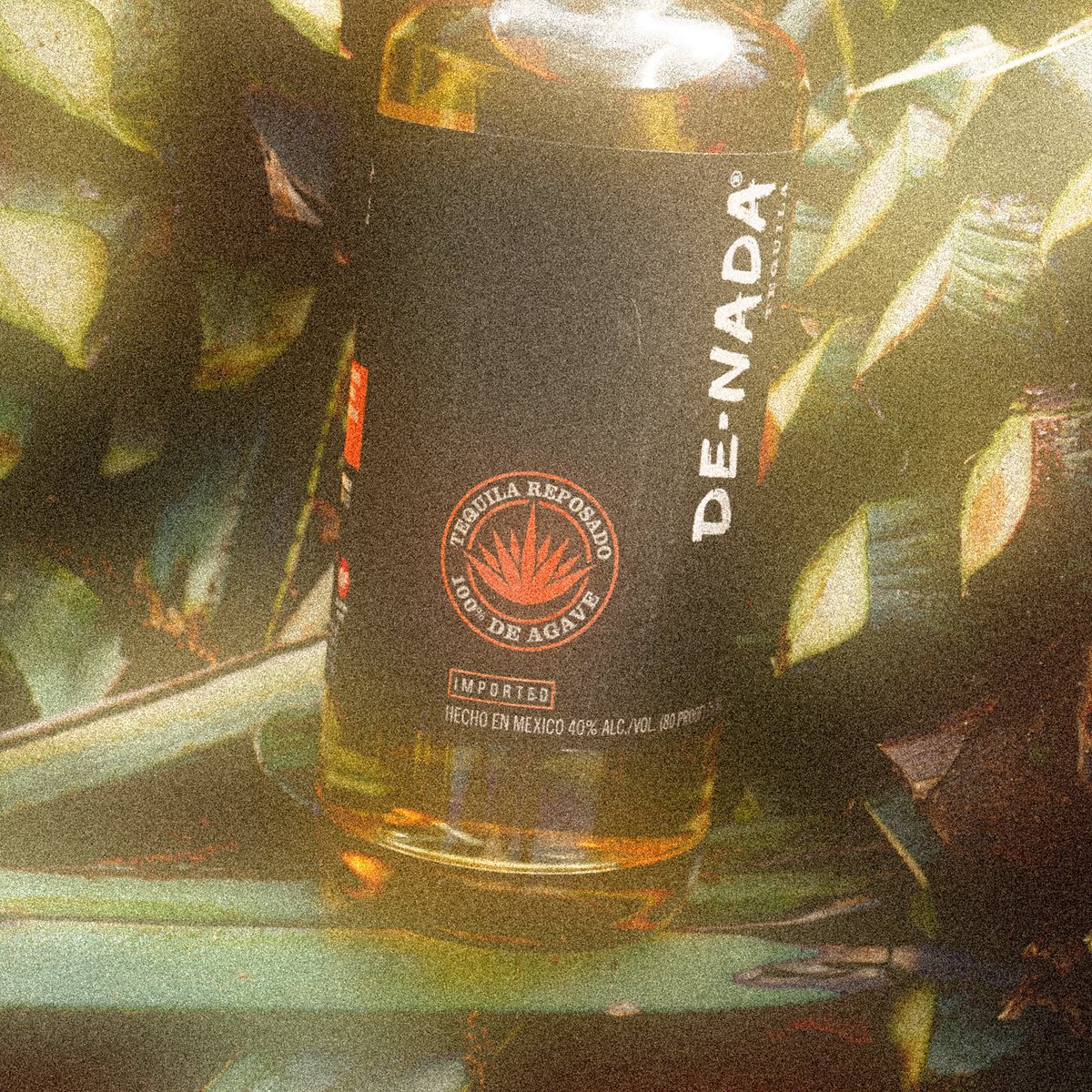 denadatequila's tweet photo. Taste nothing but the Jalisco sun! ☀️🥃 https://t.co/JZYRqu2sDk