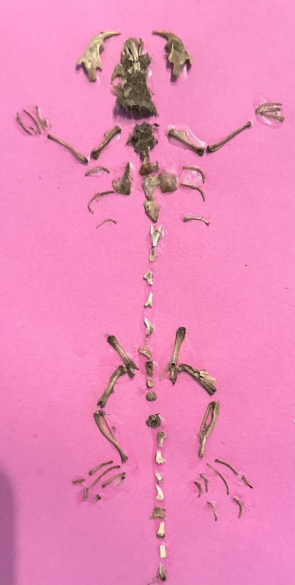 gamerEMdoc tweet media