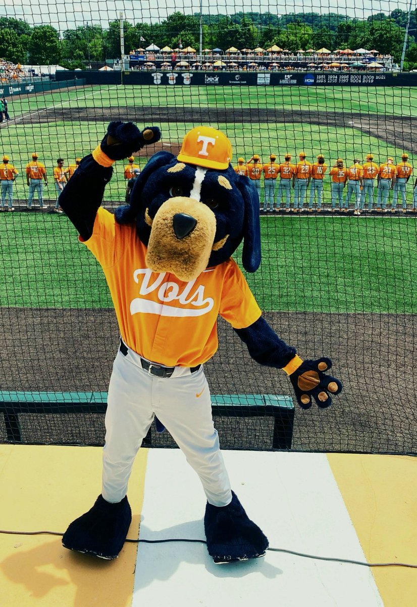 SaltyVol 🌊 🍊 🇺🇲 tweet media