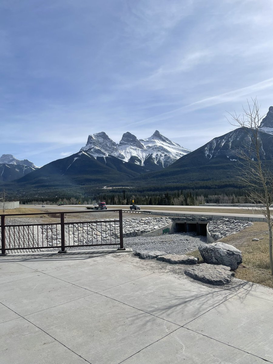 turkeynator_85's tweet photo. The weather forecasts are calling for some really nice weather with temperatures in the high teens, low 20βs over the week in Wild Rose Country. Get out and enjoy the nice weather! βοΈποΈ #Springisfinallyhere #Alberta https://t.co/p0DLUDR8dK
