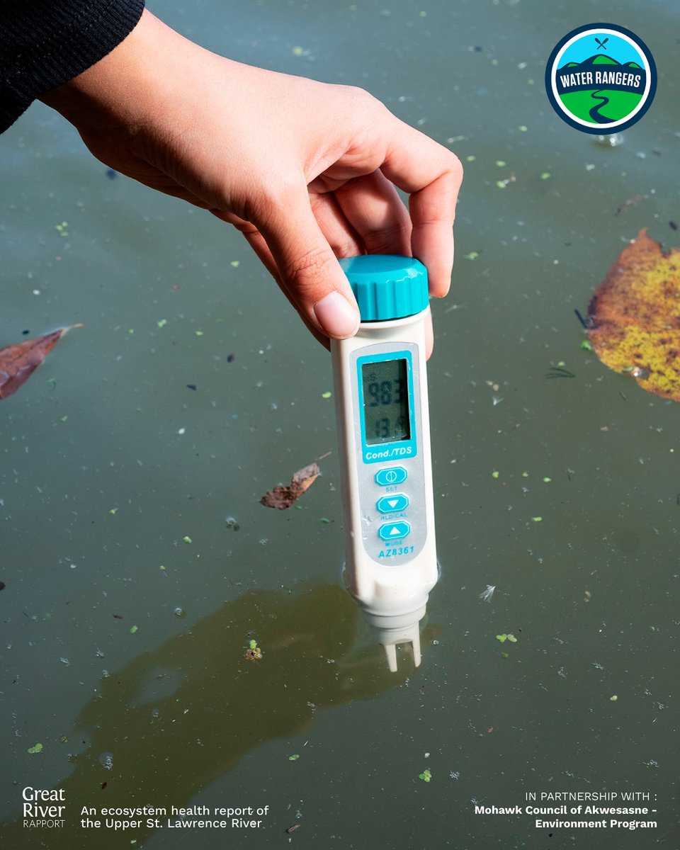 April is Community Scientist month! 
Become a #CommunityScientist today by borrowing a <a href="/water_rangers/">Water Rangers</a> kit from the #RiverRapport for free today! To borrow a kit 📧 ederochie@riverinstitute.ca