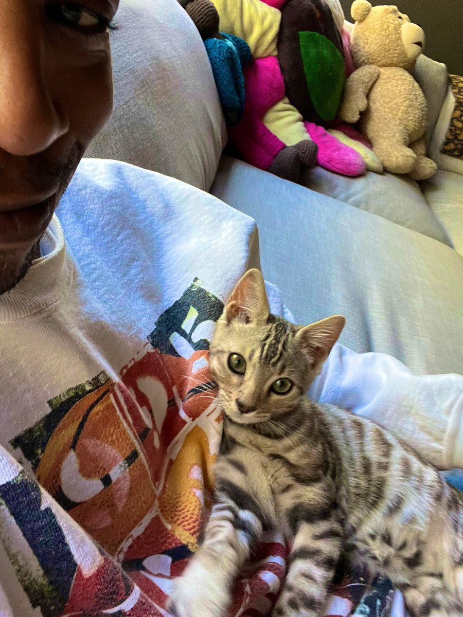 KiDCuDi's tweet photo. He's happy im home omg 🥺 https://t.co/0zueagIN8u
