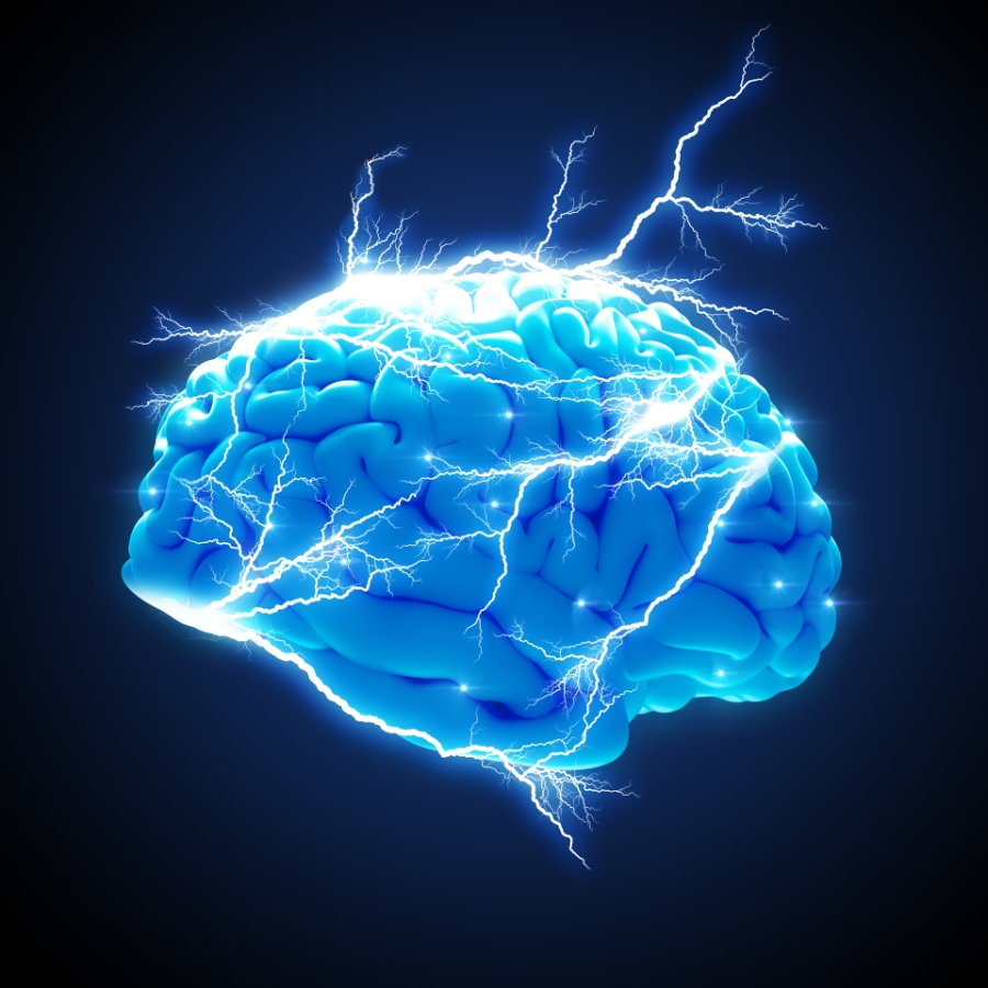 HumanEvolutionX's tweet photo. The human brain has tripled in size since the first hominids appeared. #neuroscience #evolution https://t.co/EcV8BxwDJ4
