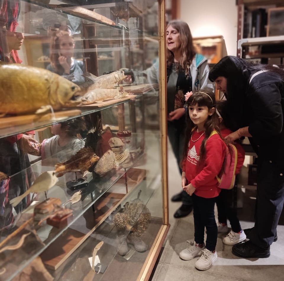 MuseosSantaFe's tweet photo. ▪️ Visita al Depósito de Zoología 
Viernes 28 de 11:30 a 12:30 h. ☎ Reservas al 4772549 de martes a viernes de 9 a 13 h.
Se recomienda puntualidad para comenzar la visita ⚠ Actividad no recomendada para personas con problemas de alergia https://t.co/SjJOpBovdx https://t.co/NyjeVxvF9z