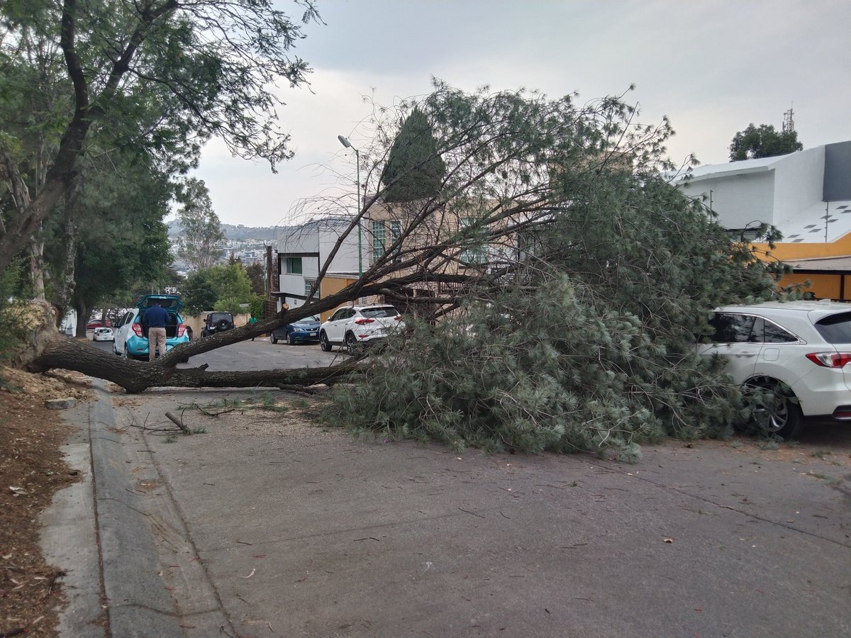 Pues... No hay paso por Paseo de Francia, sólo tránsito local. 

<a href="/GobNau/">Ciudad Naucalpan / Gobierno Municipal 2025-2027.</a> podrían mandar personal por favor.