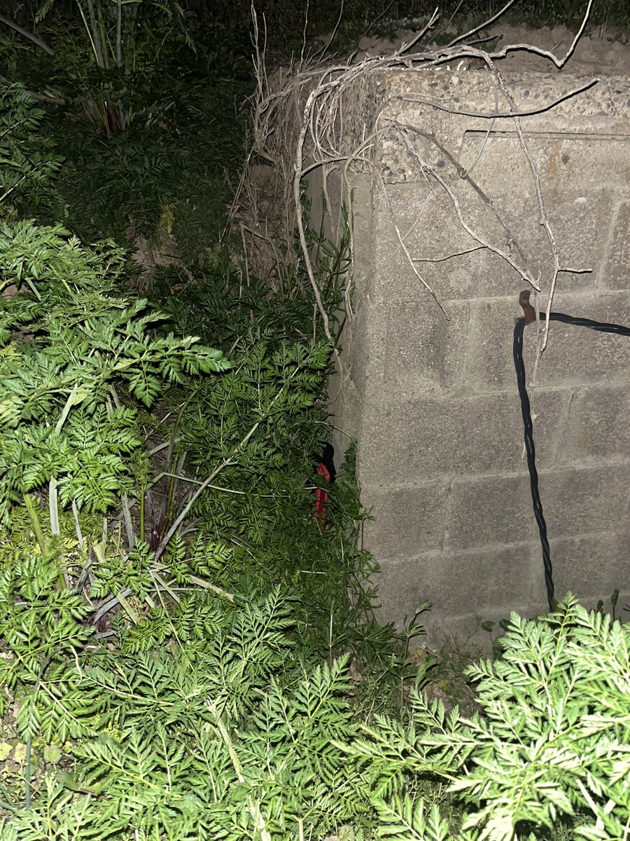 OFFICIAL PT ASSASSINS 2023 tweet media