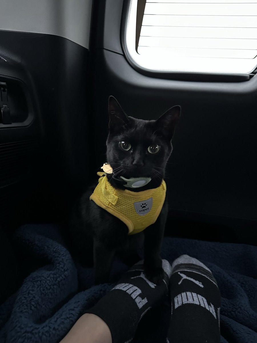 chomp_chris's tweet image. 