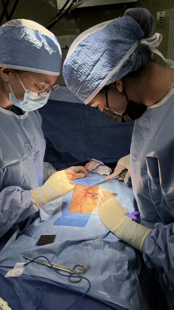 Surgery Clerkship marks the end of the third year of med school!  Learning A LOT, from mega-talented residents🫀🥰  Excited for the next phase, PhD I'm coming for you! #GirlsInSTEM