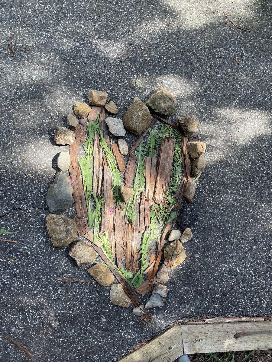 NMendes45's tweet photo. Challenge met! Lions Bay students recorded over 365 acts of kindness leading up to DO1GIVEDAY
Our gives ranged from picking up litter, helping raise our salmon and random acts of kindness.
#DO1Give #westvaned https://t.co/WPMo0M2nhS