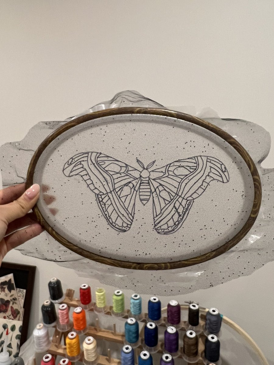 It’s been a while since I’ve embroidered on tulle. Going to attempt an emperor moth🪡