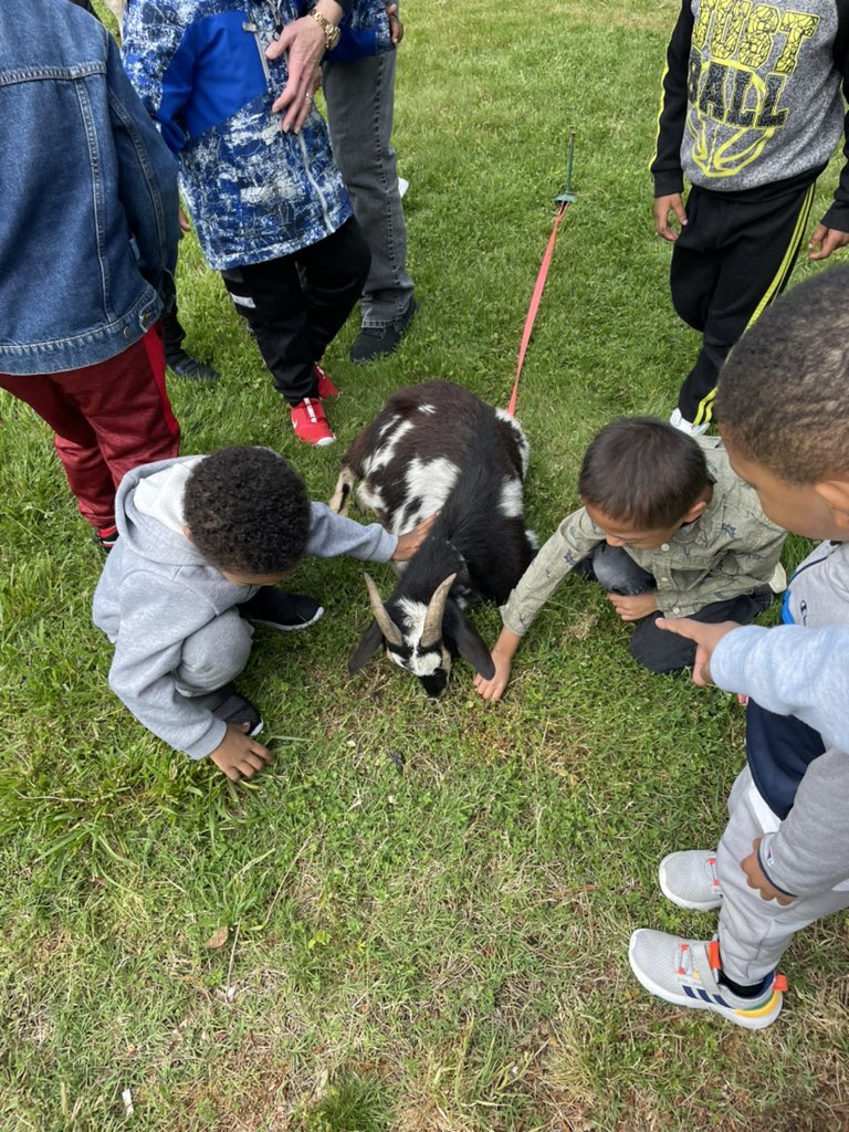 The boys and girls had a wonderful time today as we were visited by The Teeny Tiny Farm. This was an amazing hands on learning experience and a great way to end their unit on animals. I think we have a veterinarian or two in our midst.😁 #LivingLifeAMileHigh #HandsOnLearning