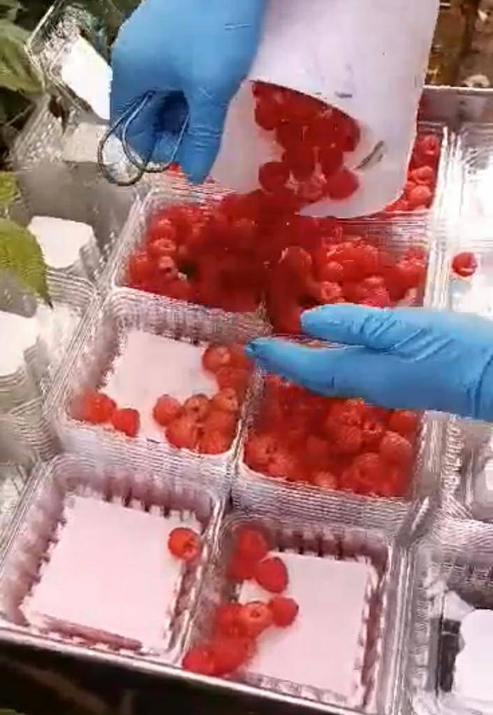 United Farm Workers on Twitter: 