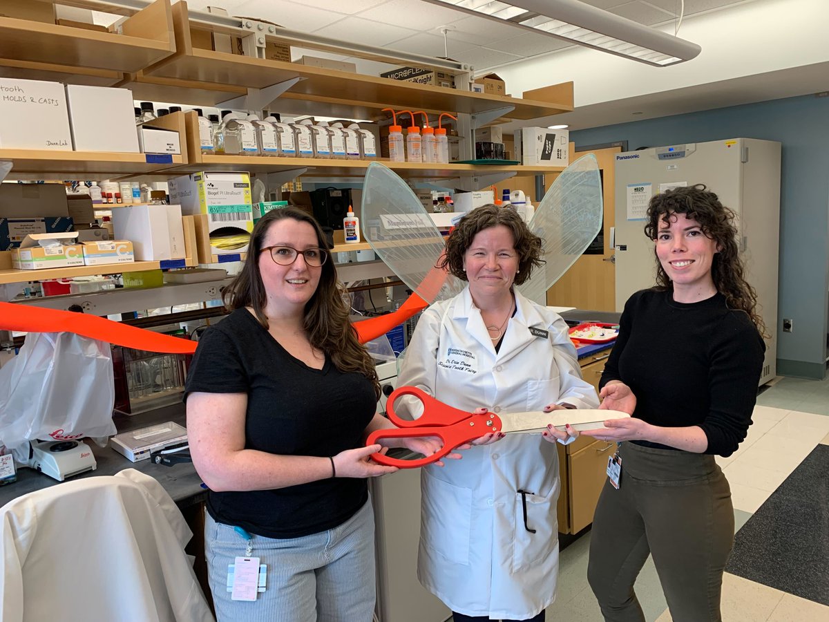 ErinDunnScD's tweet photo. A bit delayed in posting these photos from our recent ribbon cutting ceremony. This marked the official opening of the histology part of our wet lab and the first time we began cutting teeth. Of course giant scissors were at hand. Best $35 spent ever. https://t.co/5jZhYI7i1M