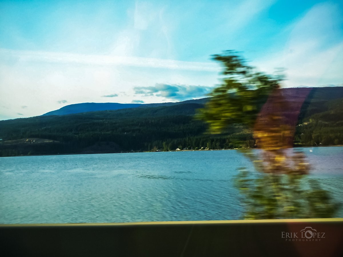 ErikLopezPhoto's tweet photo. Road Trip: From Calgary, Alberta, Canada to Bellevue, WA, USA in less than 12 hours. September 3rd , 2008.

#ErikLopezPhotography #PSILoveYou #Photography #Kodak #KodakPhotography #TravelPhotography  #Canada #Memories #ThrowbackThursday #TBT #RoadTrip #BrokenPromises #Landscape https://t.co/8wF5RV9ej3
