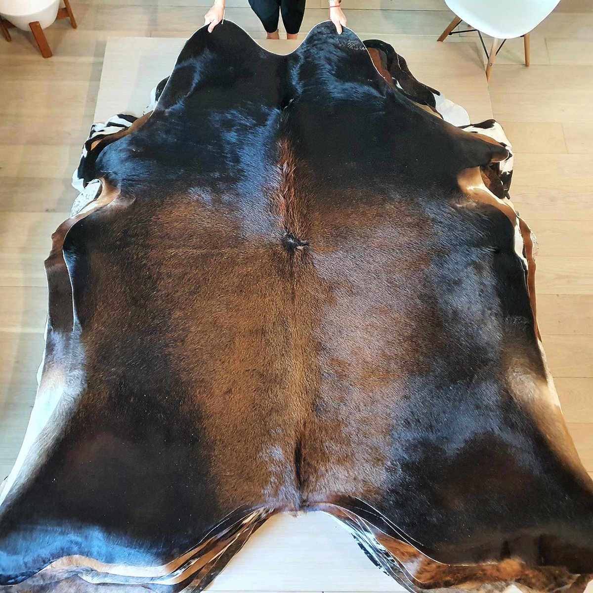 eCowhides's tweet photo. $169 - Natural Brazilian Chocolate Cowhide Rug Size X Large 9752

https://t.co/emln6cUnrg

#luxurydesign #realcowhide #luxuryliving #cowhiderug #leather #ınterıordesingner #interior #brazilian #luxury #decor #homedecor #rugs #interior #interiordesign #homedecoration https://t.co/d1sLvG5Grw