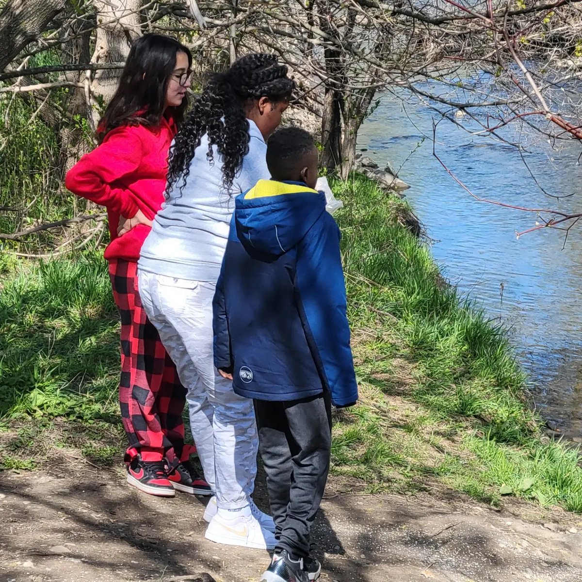 Ingrid Mitchell tweet media