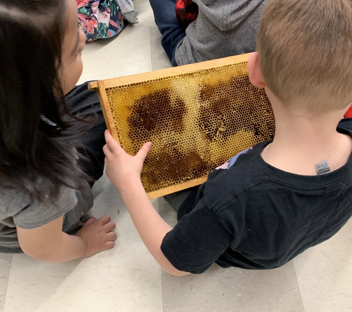 Julie Ruberto tweet media