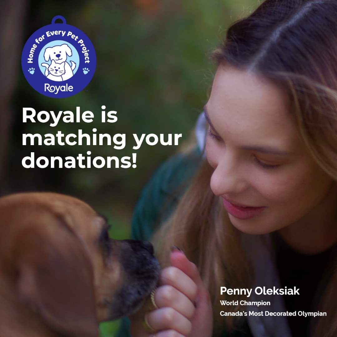 From April 28th - April 30th, @royalekittens will match all donations to SPCA St. John's, up to $500, as part of #NationalAdoptAShelterPetDay! To learn more
about the initiative, head to royale.ca/pets #RoyaleHomeForEveryPetProject