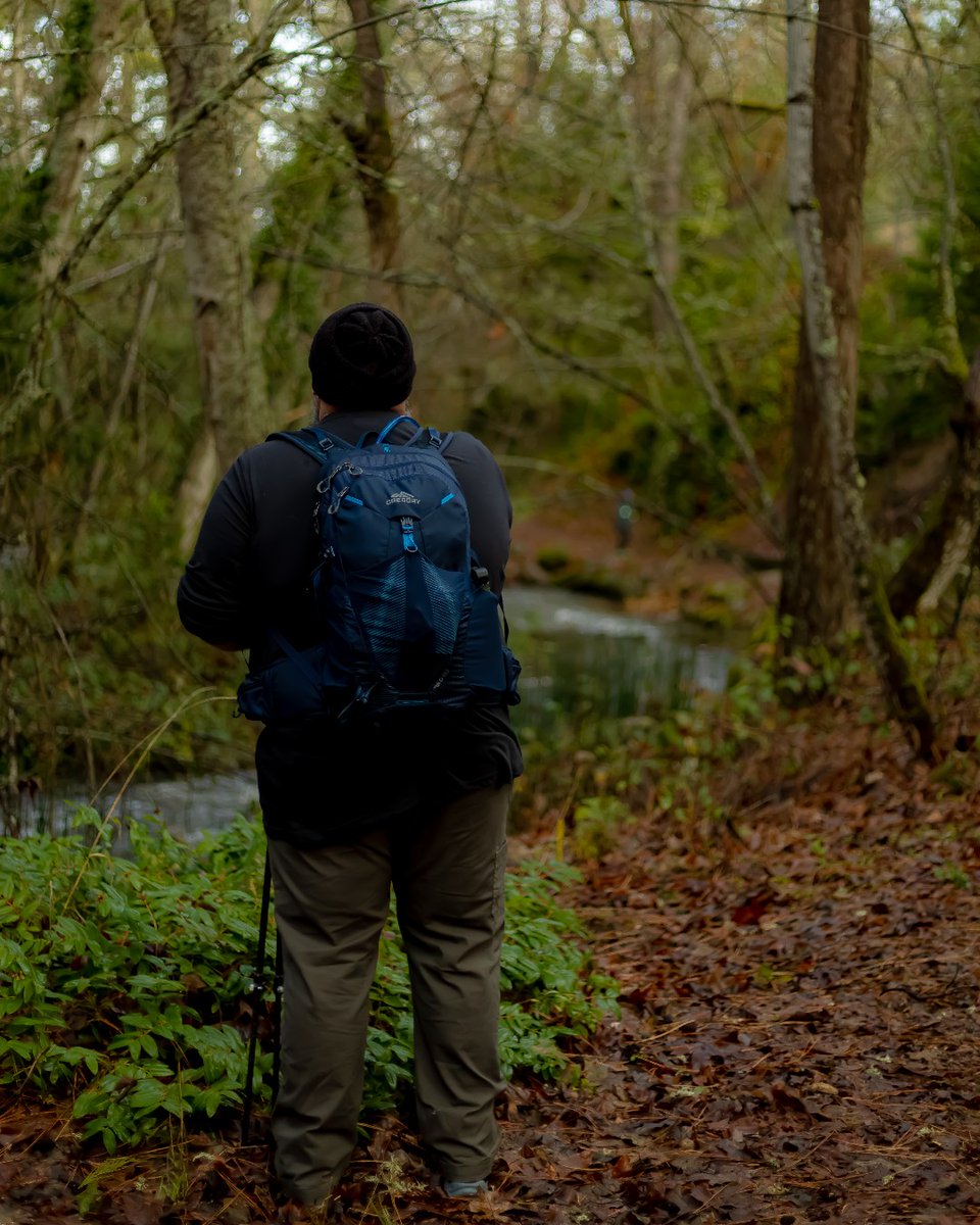 We have been obsessed with the desert lately, but we can't forget about how stunning the PNW is. Their lush green forests will never get old!

Shop: Miko 20 Plus Size: bit.ly/3JIuUJ8
Featured: Gregory Ambassador Andy Neal