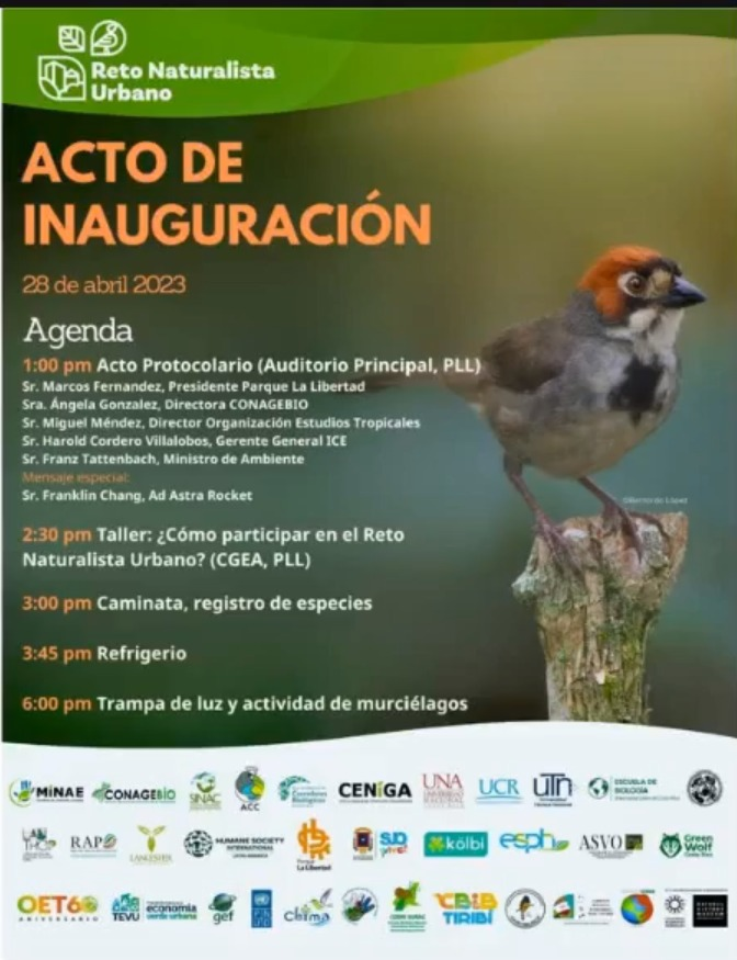 CRBiodiv's tweet photo. ¡Hoy a media noche inicia el #RetoNaturalistaUrbano GAM 2023! Consulta el video https://t.co/f5BKGLANtW sobre cómo participar.  Este año habrá un Acto de Inauguración (confirmar asistencia con naturalistacr@gmail.com) https://t.co/DisDVRqnWe  @inaturalist #CityNatureChallenge https://t.co/qcyHauvJh1