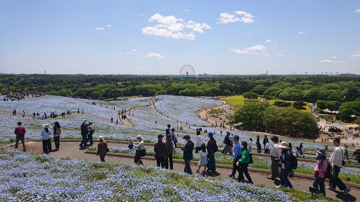 Y.Takahashi tweet media