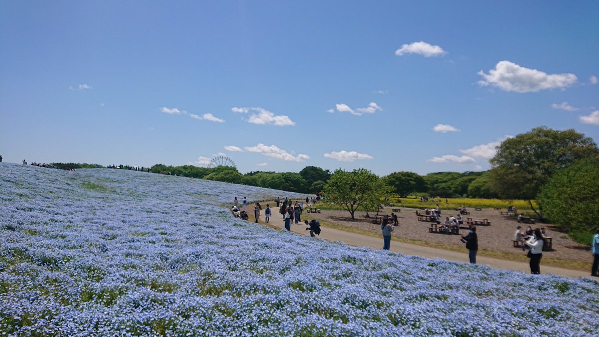 Y.Takahashi tweet media