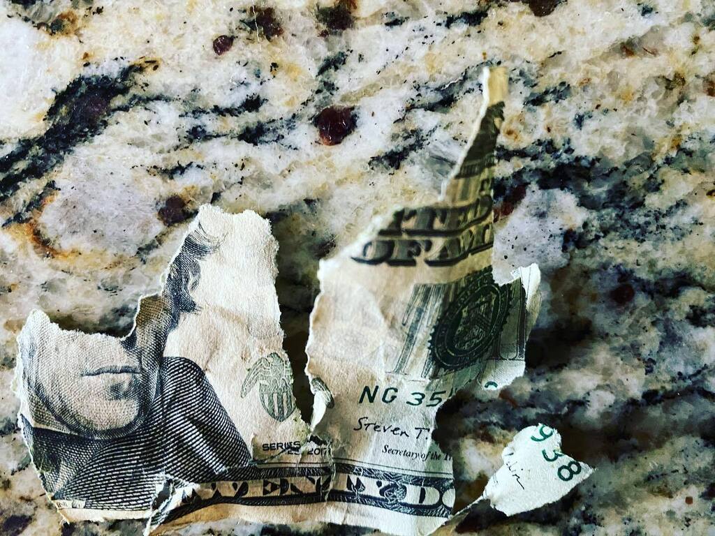 STPinball's tweet image. Someone in the neighborhood messed up while mowing today. #uscurrency #deadpresidents #mulch #twentydollarspecial