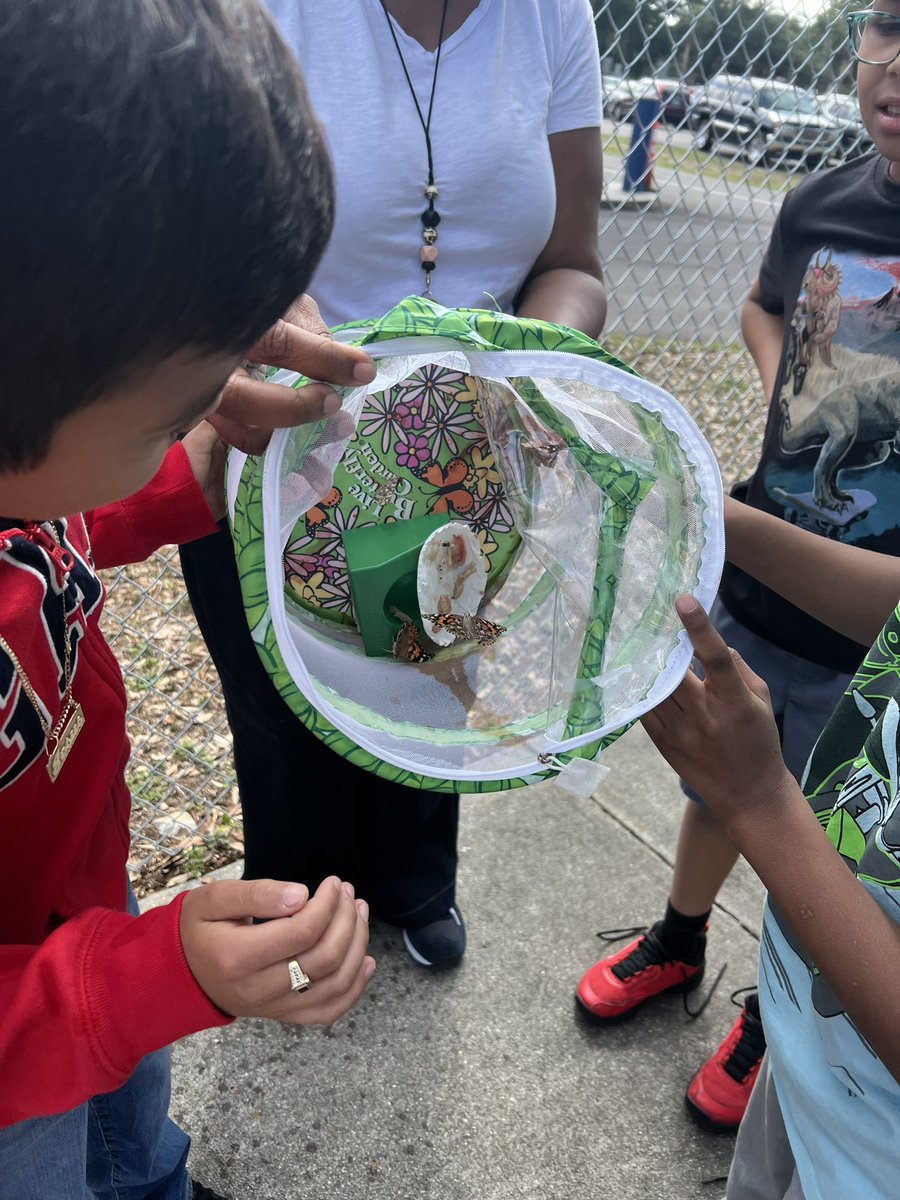 Lopez Elementary tweet media