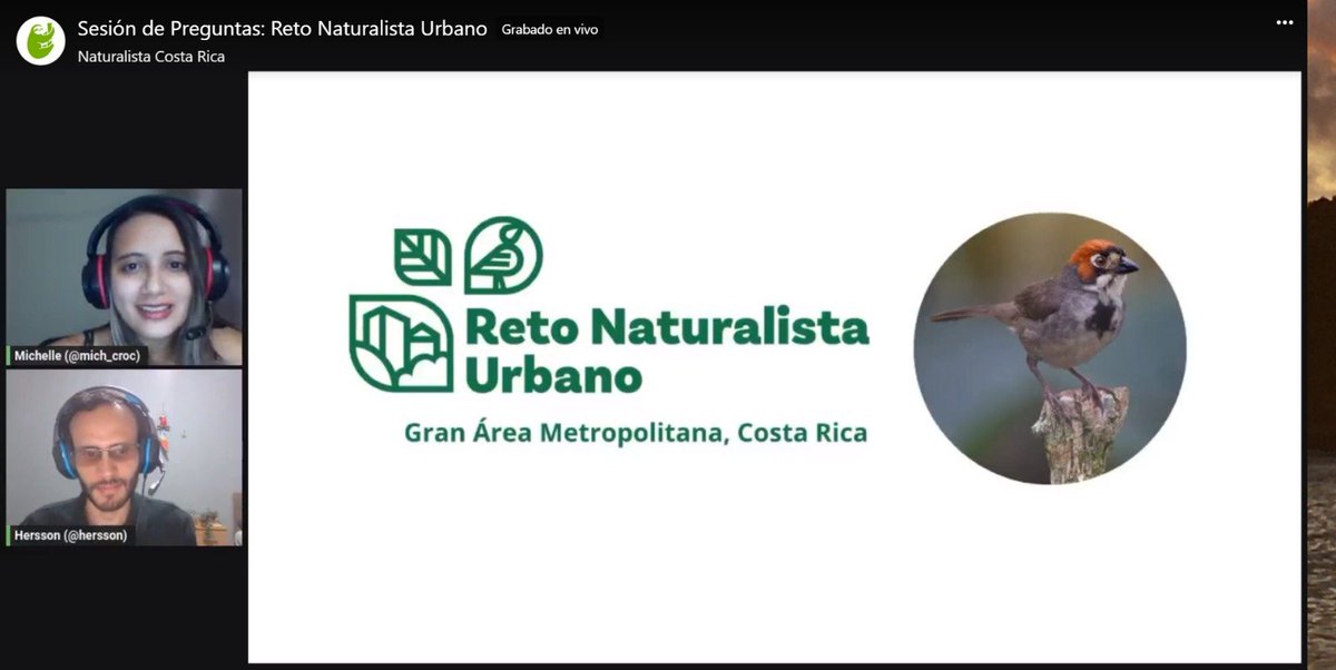 CRBiodiv's tweet photo. ¿Aun tienes preguntas? Repasa la sesión de respuestas presentada ayer por Michelle Monge de NaturalistaCR y Hersson Ramírez de CONAGEBIO: https://t.co/QhWOQGKAoB para aprender cómo participar y ver los múltiples eventos que se realizarán a través del GAM este año. https://t.co/1InZRVqduO