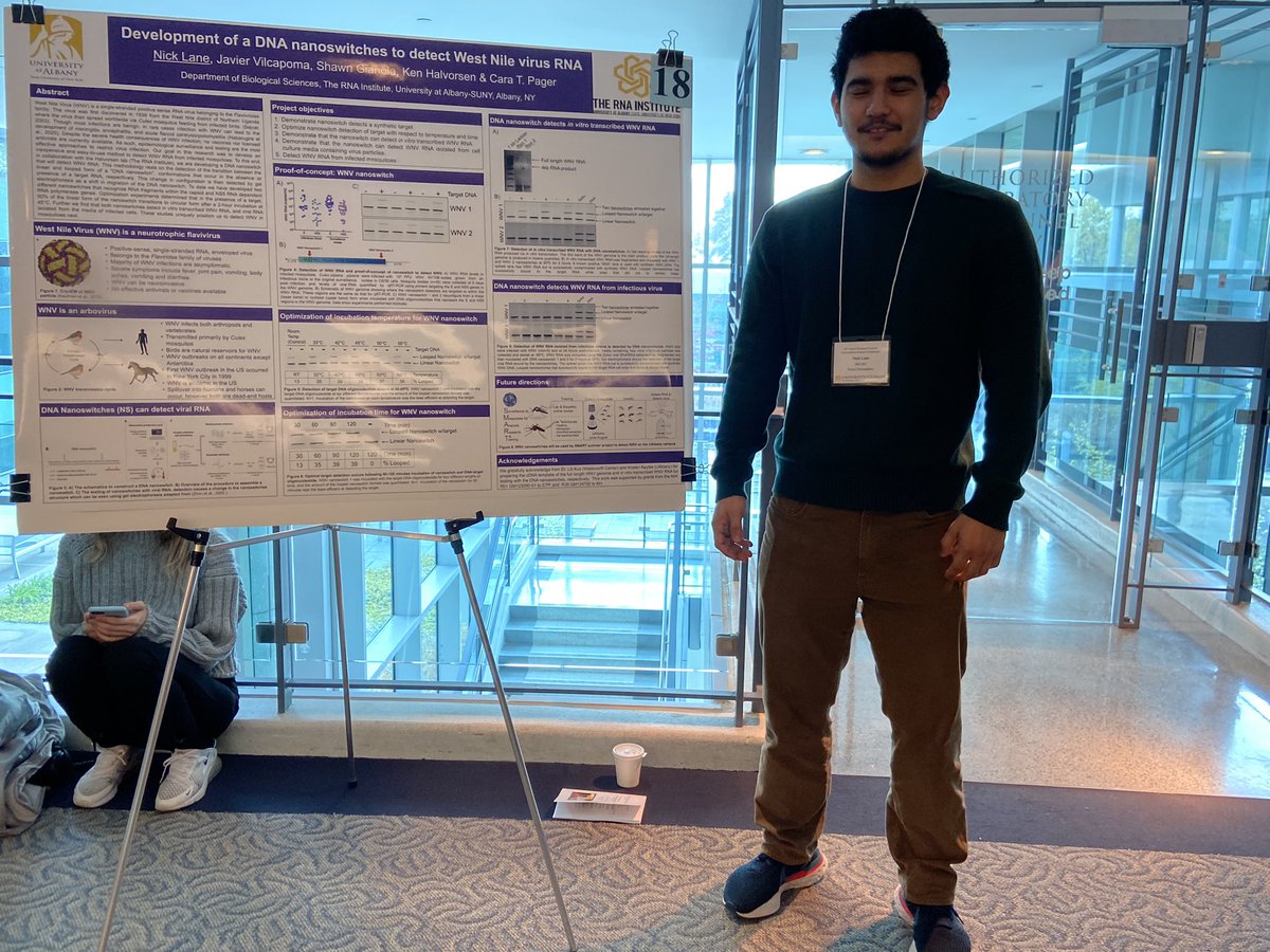 Nick Lane an awesome undergraduate student in @PagerLab presented the terrific work he has done this semester developing a new flavivirus nanoswitch in collaboration with @HalvorsenLab #LoveVirology @ualbany @UAlbanyBiology @TheRNAInstitute
