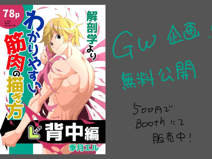 GW企画「解剖学よりわかりやすい筋肉の描き方 背中編」BOOTHにて販売中の無料公開です https://l-size.booth.pm/ その①
