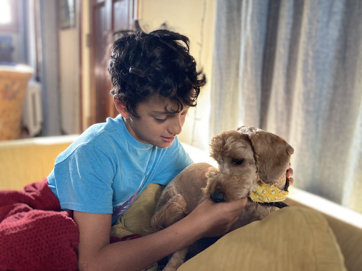 erinfordc's tweet image. We have an important addition to #ANC4B’s Earth Day Resource Fair. 💚🌍♻️ Middle Monster will be tabling and teaching origami. Bring your scrap paper or use some of ours to make dragons 🐉, stars ⭐️ &amp;amp; more. Join us Saturday, 11/29, 11 am - 2 pm at Whittier ES.