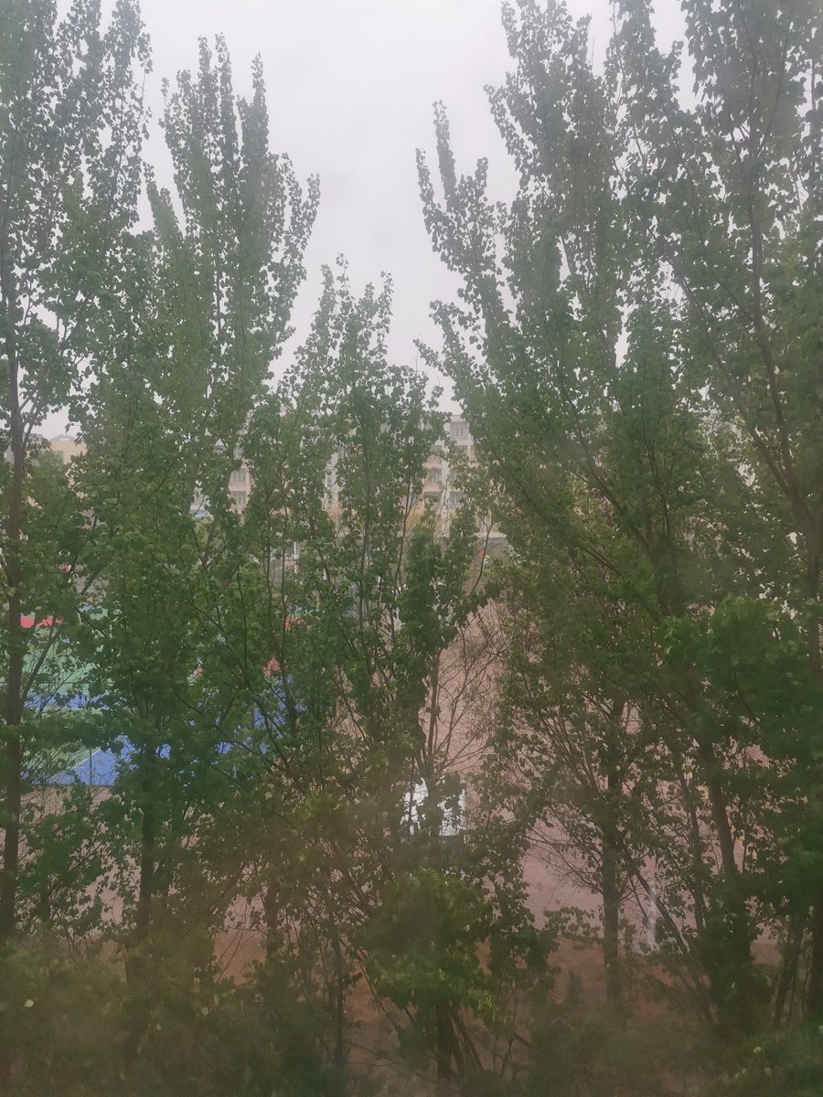 BohaiUniversity's tweet photo. It is raining today in Bohai university. https://t.co/7GrZNF7jn3