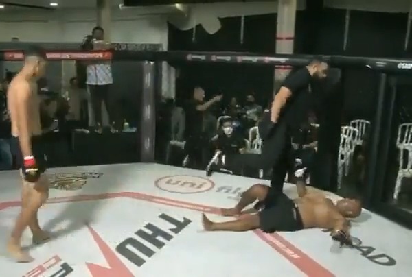 Fight Haven on Twitter: 