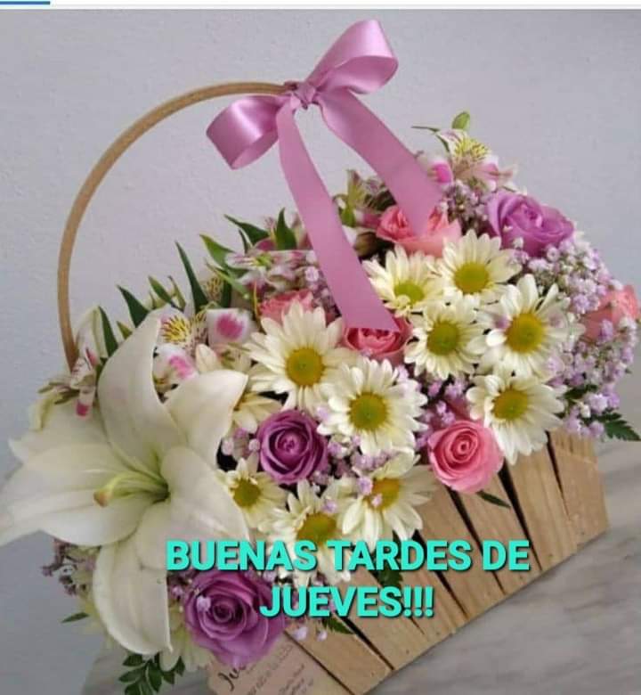 María de los Angeles Perez Martinez (@pzangeles_) on Twitter photo 