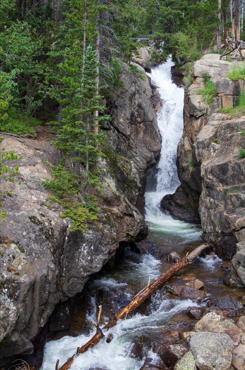 oooshinyphotos's tweet photo. Chasm Falls. Rocky Mountain National Park, Colorado. 7-15-22.
Canon T5 F/8 1/200s ISO-800 18-135 @ 29mm.
~
~
~
~
~
#ChasmFalls #RockyMountainNationalPark #Colorado #Canon #ShotOnCanon #CanonFavPic #NatGeoYourShot #photography #nature
1/2 https://t.co/dGa7ns0WGL