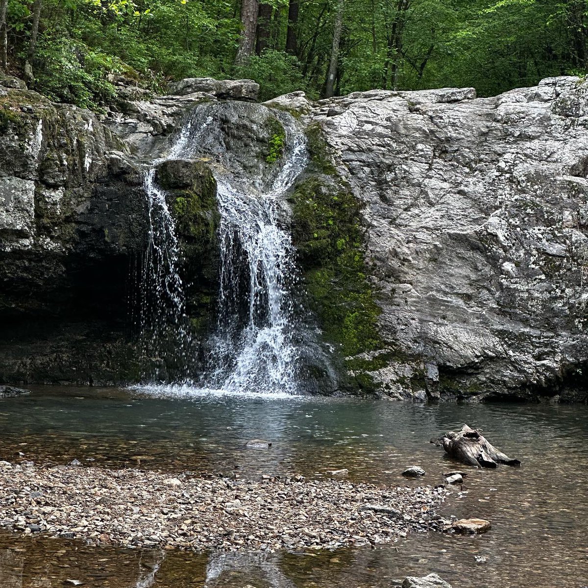 realScottPfaff's tweet photo. More hiking adventure over the weekend… we did the waterfall trail! ⛰️ 

#hiking #trail #nature #park #lakecatherine #river #stream #trees #outdoors #wild #wildlife #sky #calm #relaxing #mindfulness #asmr #soundon #health #healthy #exercise #fitness #fitfam #adventure https://t.co/XB1nzhG8No