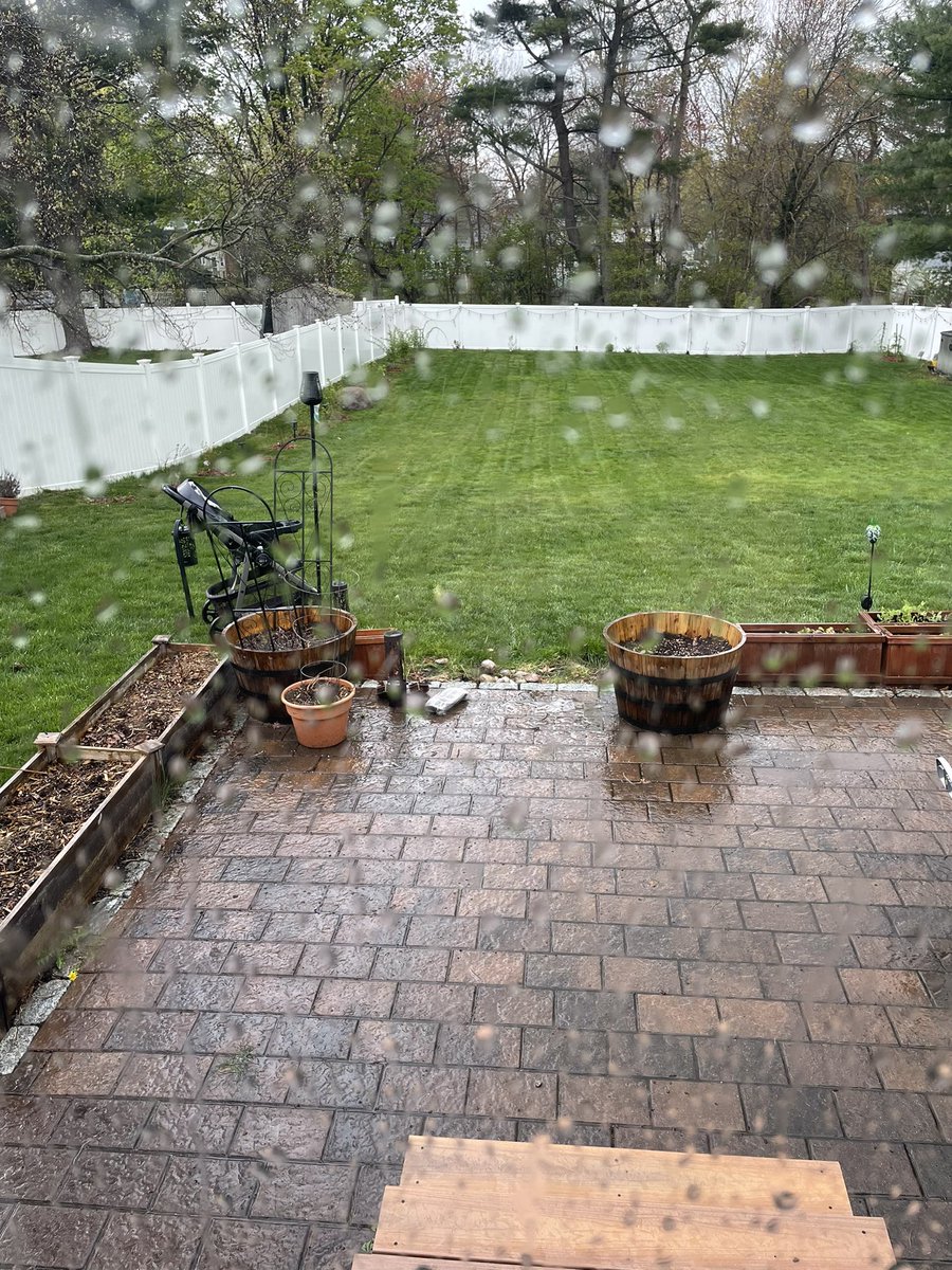 A brag… my lawn and garden game has been turned up a notch this year and things are looking pristine!

Unfortunately the stroller may not have benefitted from the rain as much as my lawn 🤪