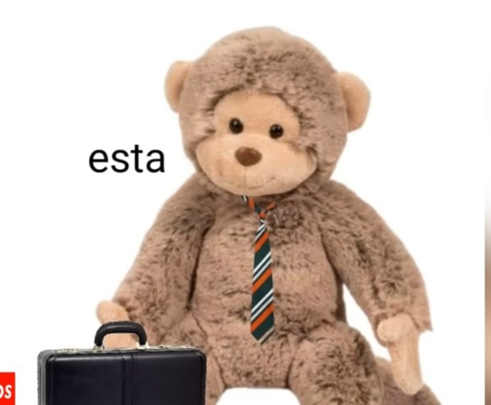 yo aplicando mis conocimientos aprendidos en la universitat de girona sobre razonamiento probatorio: