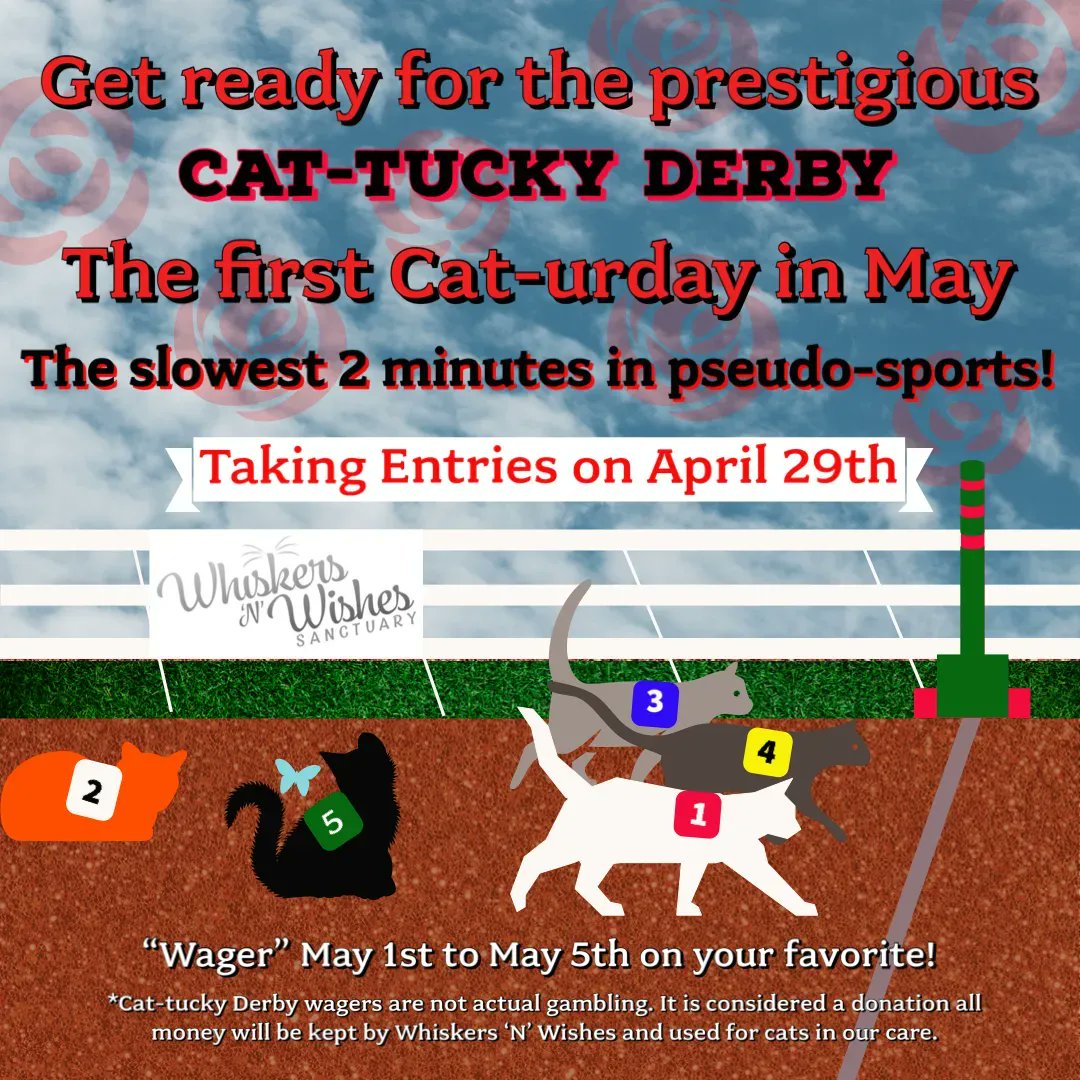 WishesRescue's tweet photo. It's coming... meet the field on April 29! https://t.co/7cMaUYuHGO