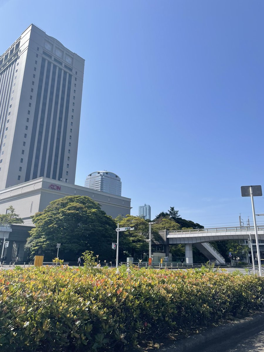 MIRAIYA_BML's tweet photo. おはようございます☀
今日も朝から暑いくらいの気温ですね！
晴天の千葉県🥜✨

GW前の金曜日、
本日も頑張りましょう♪٩( ᐛ )و

#企業公式が朝の挨拶を言い合う 
#未来屋書店のコワーキングスペース
#BML
#bookmarklounge
#GW前日 https://t.co/EWBeOadgTY