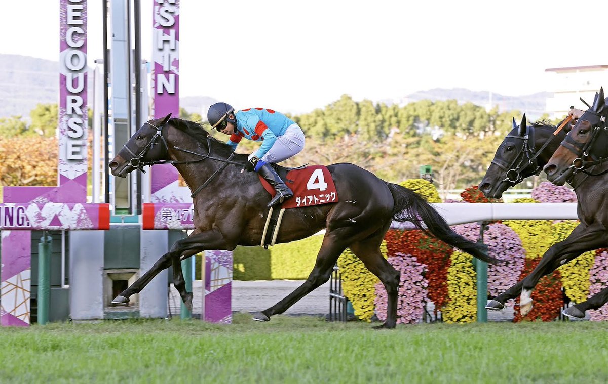 ⭐ 2 STARS TO STAND IN VICTORIA ⭐

Coolmore Stud Stakes runner-up BRUCKNER will stand at <a href="/widdenstud/">Widden</a> Victoria for a fee of $11,000 🫶

And we welcome multiple Japanese stakes winner DIATONIC who will stand at <a href="/YulongInvest/">Yulong Investments</a> this season 🙌

📸 Racing Photos &amp; JRA