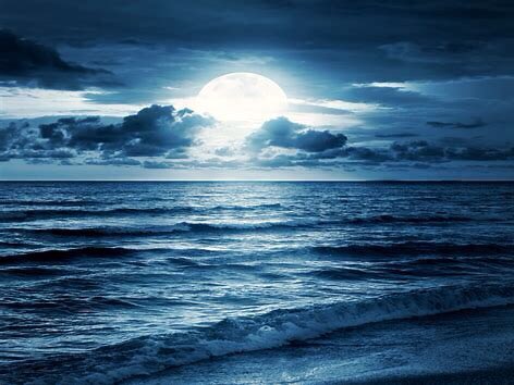 Fell asleep
On the beach

The sounds
From the tides
Soothing
Primal

Ebb and flow
Enticed by
The moon’s Attraction

Energies high

Healing

Beautiful

#poem #poetry #WritingCommmunity 

by <a href="/Annie_MB01/">D. Annie 🌻🇺🇦🌻</a>