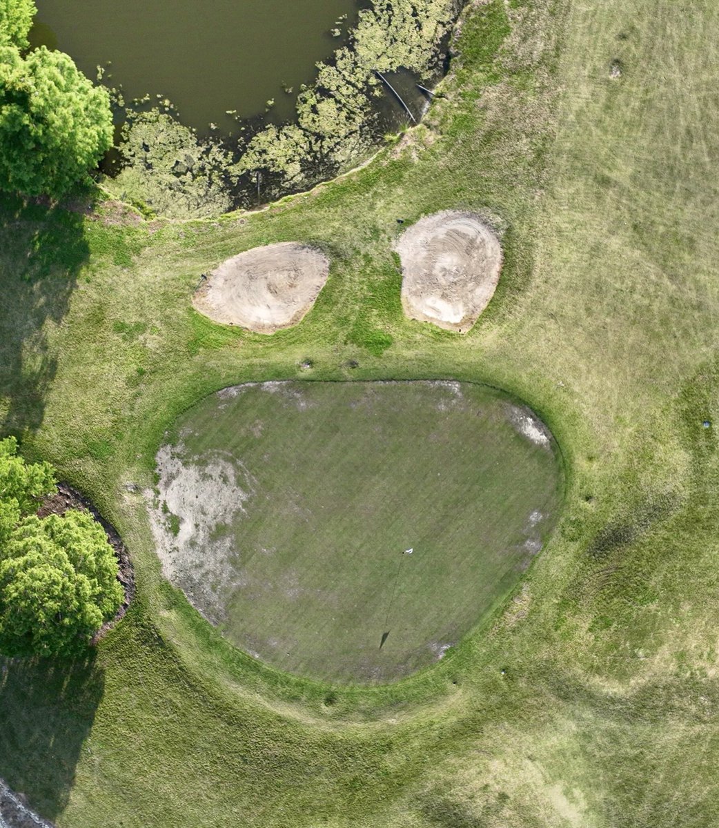 The monsters of Audubon Park, New Orleans