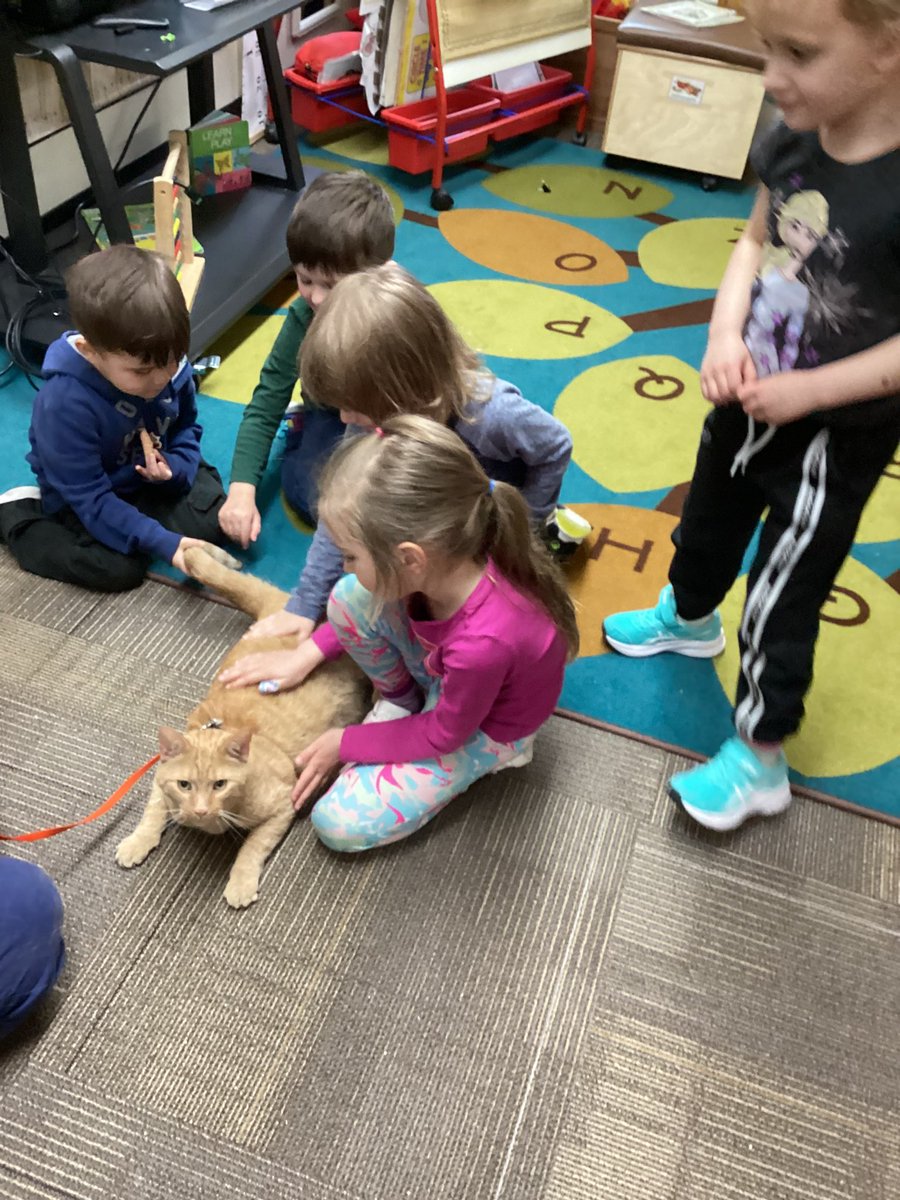 Hannah Delainey tweet media