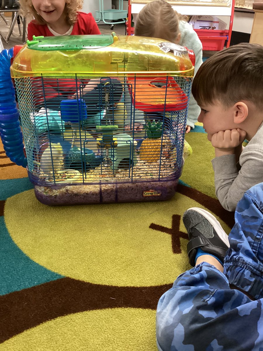 Hannah Delainey tweet media