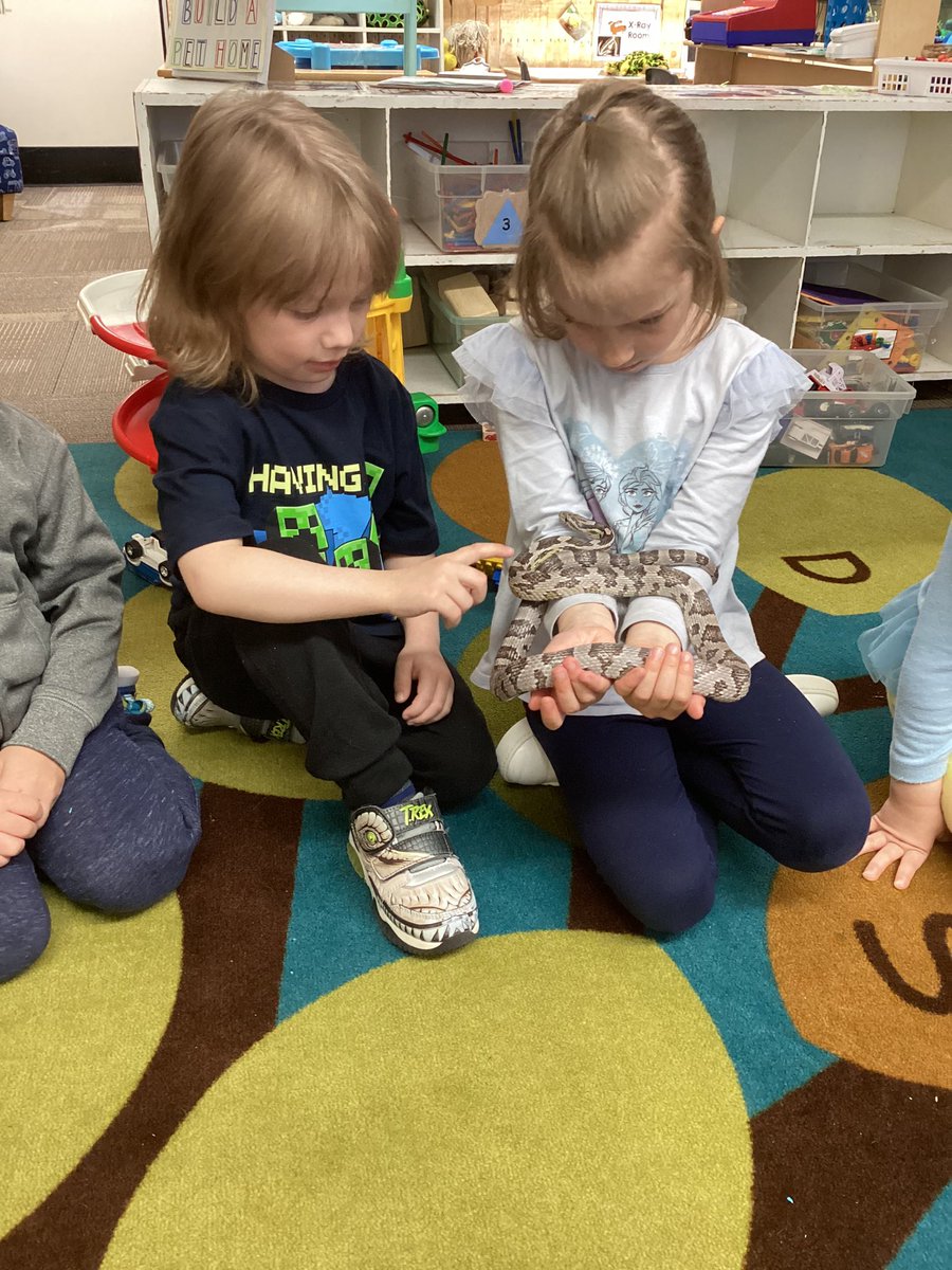 Hannah Delainey tweet media