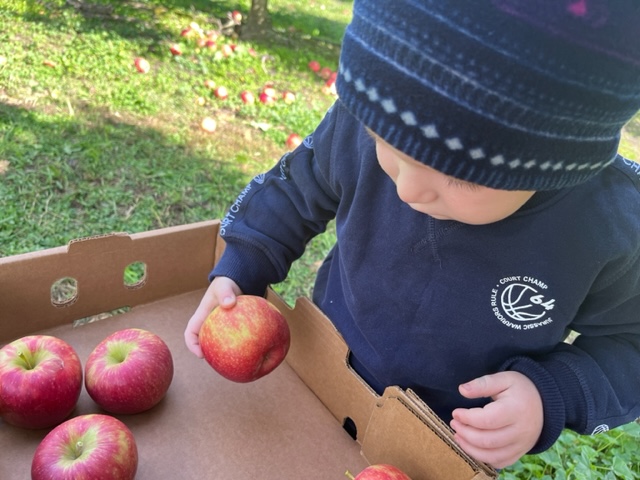 goldcoastmumsgroup.com.au/eastern-colour…
#chandraaclements #mumbloggerau